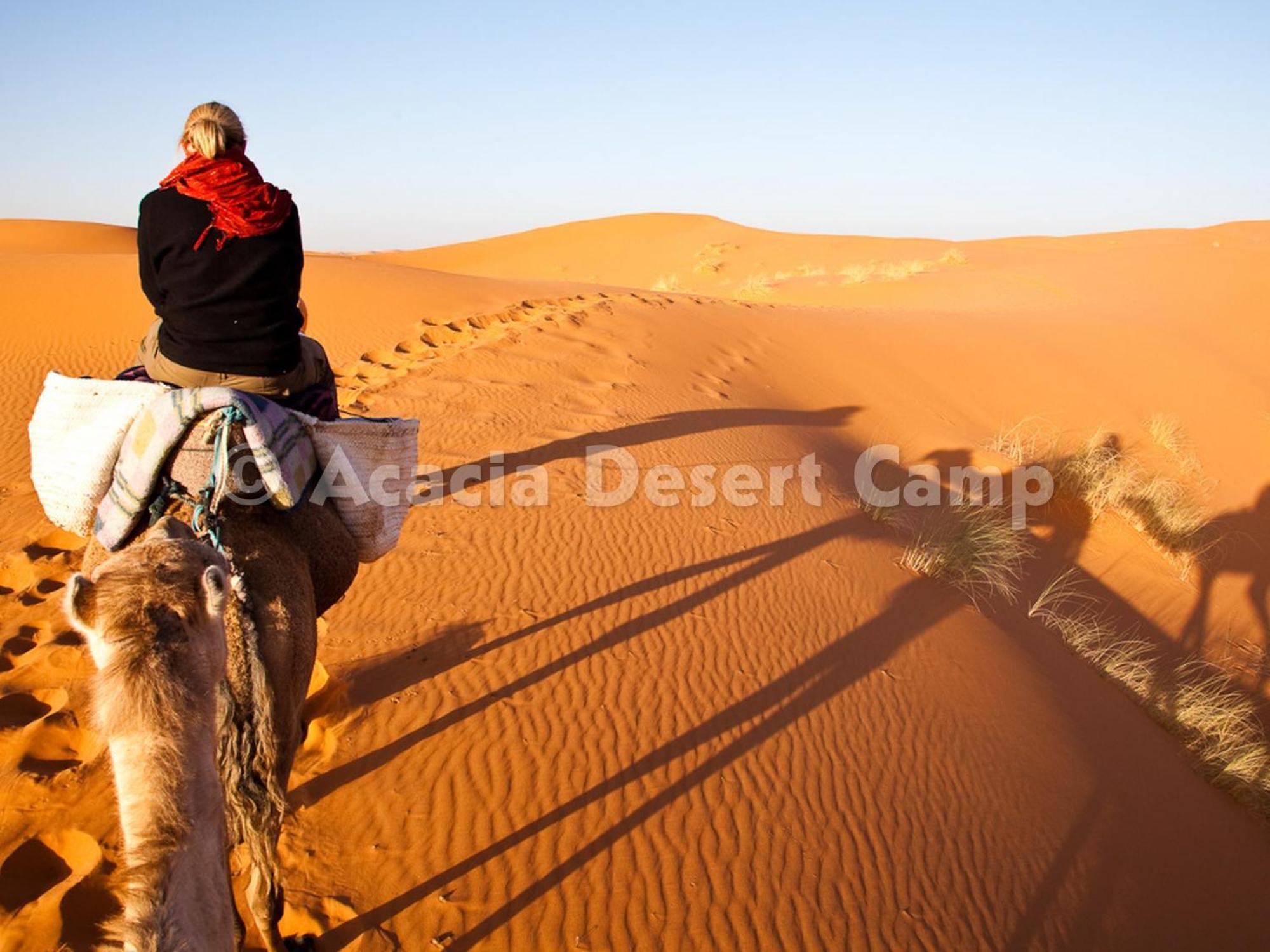 Hotel Acacia Desert Camp à Merzouga Extérieur photo